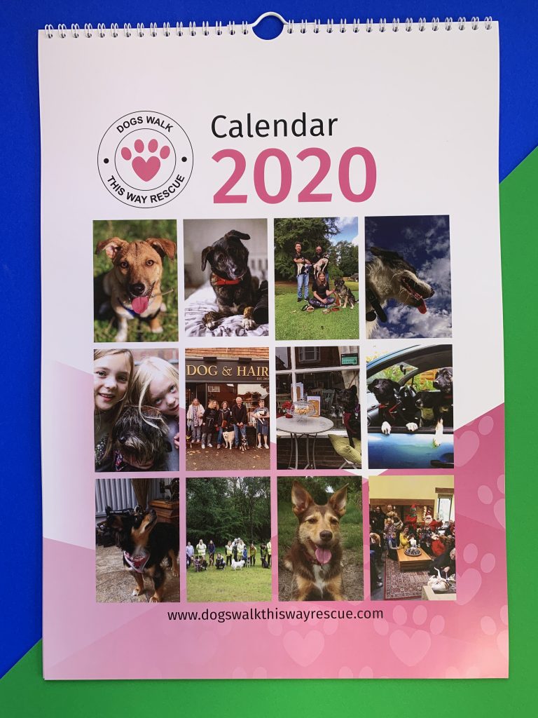 2020 Dog Charity Calendar