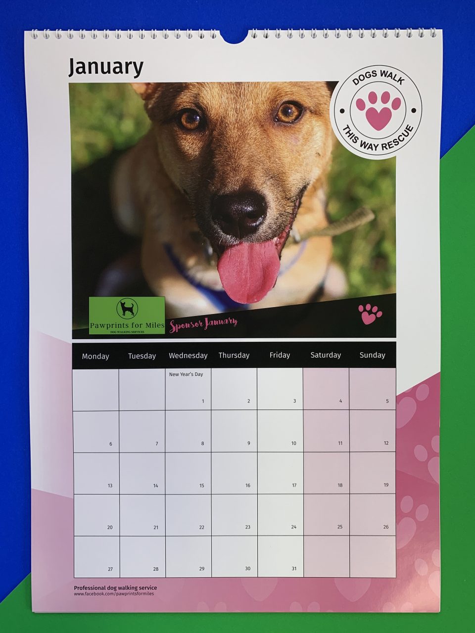 Charity Calendars for Dogs Walk This Way Rescue Printroom